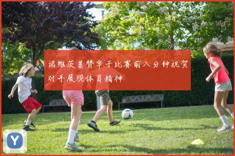 诺维茨基赞华子比赛前八分钟祝贺对手展现体育精神