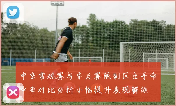 申京常规赛与季后赛限制区出手命中率对比分析小幅提升表现解读