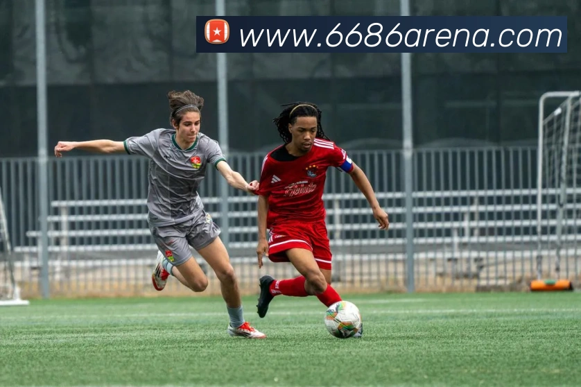 6686体育平台生态图